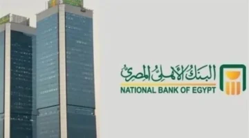 فروق جوهرية.. كيف تميز بين رقم الحساب والآيبان في البنك الأهلي؟